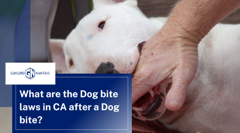 What are the Dog bite laws in CA after a Dog bite