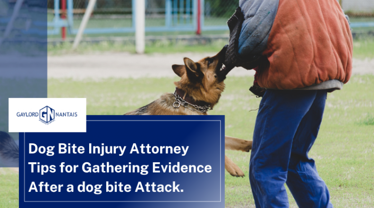 Dog Bite Injury Attorney Tips for Gathering Evidence After a dog bite Attack. | GN