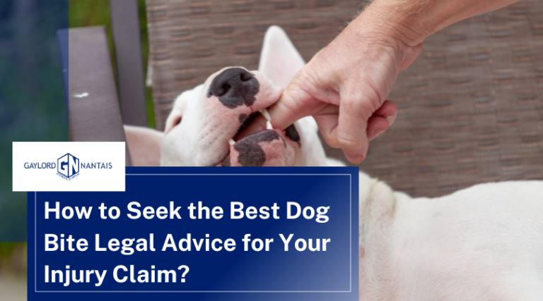 How to Seek the Best Dog Bite Legal Advice for Your Injury Claim | GN