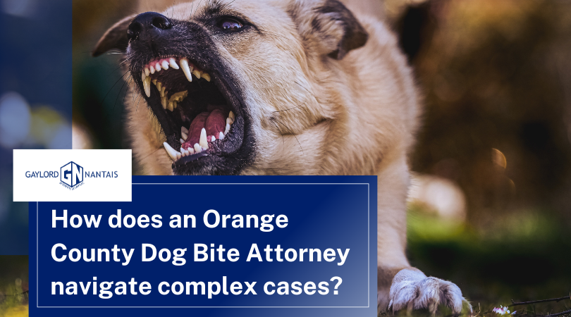 How does an Orange County dog bite attorney handle complicated cases? – Go Health Pro