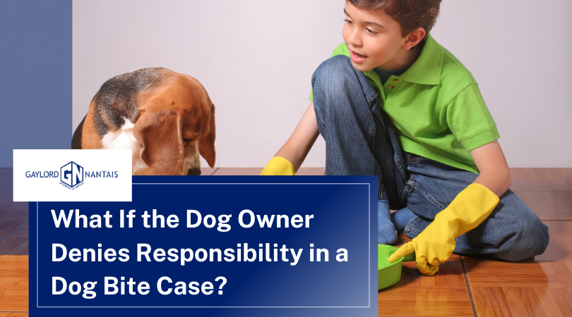 How to Handle a Dog Bite Case When the Dog Owner Refuses Responsibility. – Go Health Pro