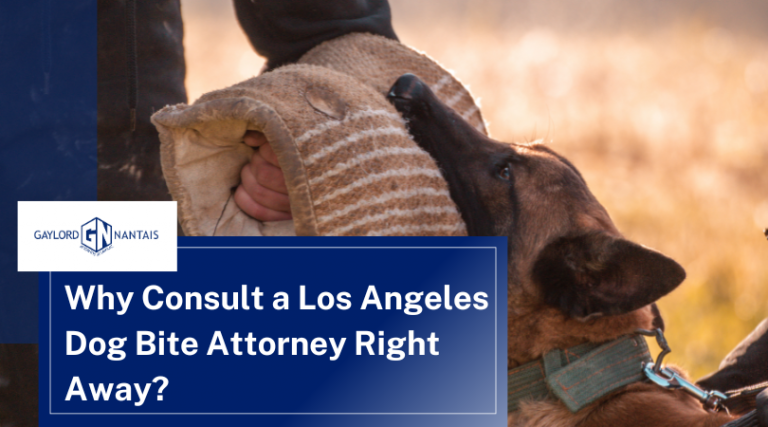 Why Consult a Los Angeles Dog Bite Attorney Right Away?