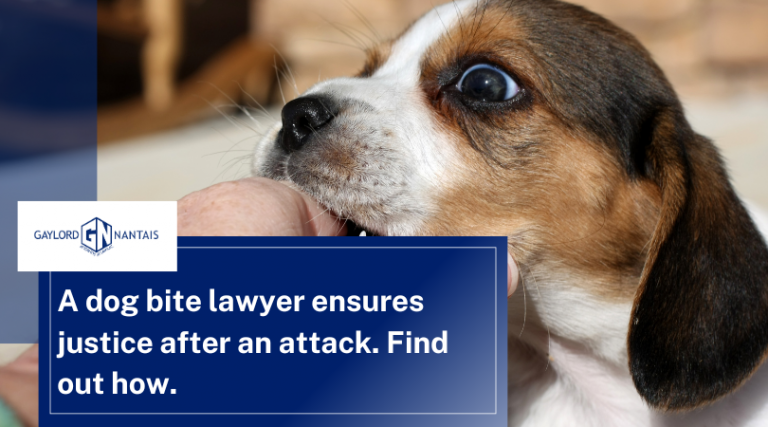 A dog bite lawyer ensures justice after an attack. Find out how.