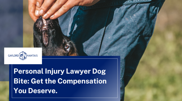 Personal Injury Lawyer Dog Bite: Get the Compensation You Deserve.