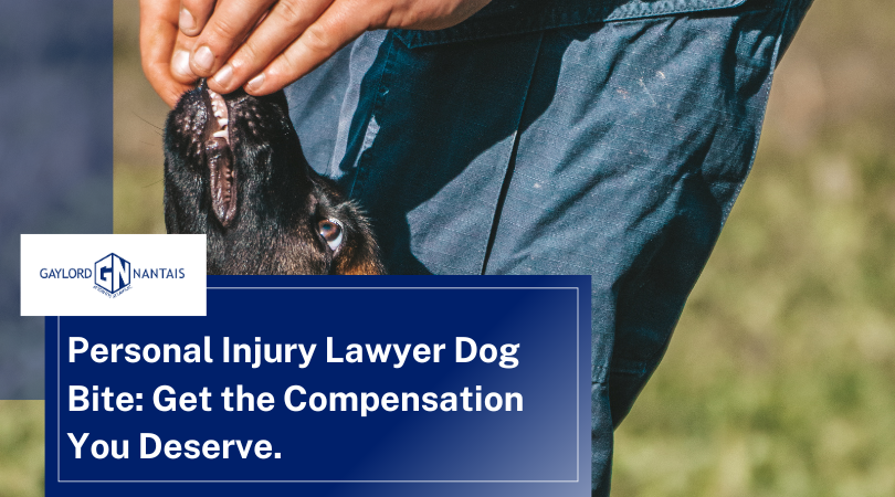 Why You Need a personal injury lawyer dog bite for Dog Bite Cases? – Go Health Pro