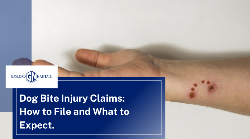 Dog Bite Injury Claims: How to File and What to Expect.