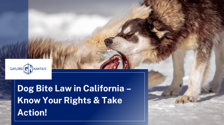 Dog Bite Law in California – Know Your Rights & Take Action!