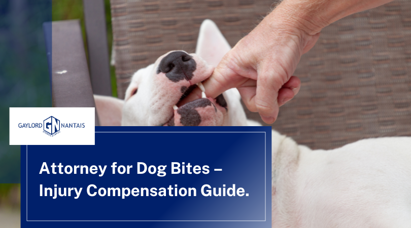 When to Call an Attorney for Dog Bites After a Traumatic Animal Attack. Attorney for Dog Bites – Injury Compensation Guide.