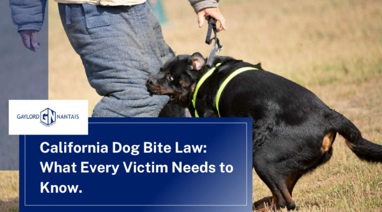 California Dog Bite Law: Know Your Rights